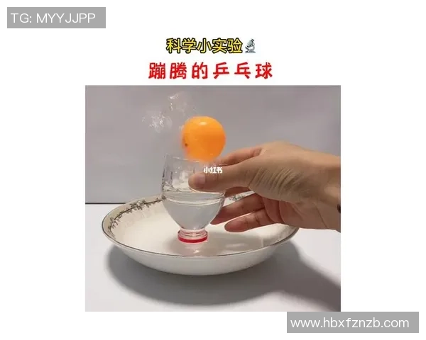 科学乒乓球耐力训练全攻略助你提升比赛表现与竞技水平MBA